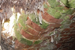 2018-04-08 Brzozówka - mur i piwnice (22)