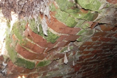 2018-04-08 Brzozówka - mur i piwnice (23)