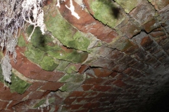 2018-04-08 Brzozówka - mur i piwnice (24)