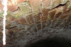 2018-04-08 Brzozówka - mur i piwnice (25)