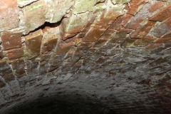 2018-04-08 Brzozówka - mur i piwnice (26)