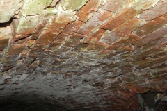 2018-04-08 Brzozówka - mur i piwnice (27)