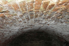 2018-04-08 Brzozówka - mur i piwnice (28)