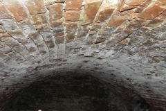 2018-04-08 Brzozówka - mur i piwnice (29)