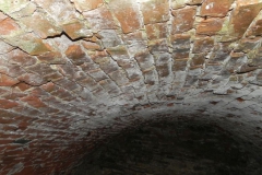 2018-04-08 Brzozówka - mur i piwnice (30)