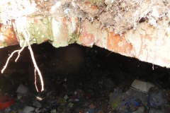 2018-04-08 Brzozówka - mur i piwnice (31)