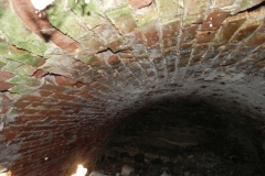 2018-04-08 Brzozówka - mur i piwnice (34)
