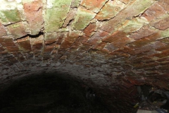 2018-04-08 Brzozówka - mur i piwnice (36)