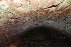 2018-04-08 Brzozówka - mur i piwnice (37)