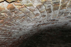 2018-04-08 Brzozówka - mur i piwnice (38)