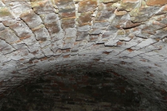 2018-04-08 Brzozówka - mur i piwnice (39)