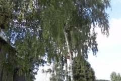2011-08-28 Lewin - kościół drewniany (24)