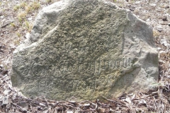 2011-03-23 Cielądz - cm. z I wojny światowej (14)