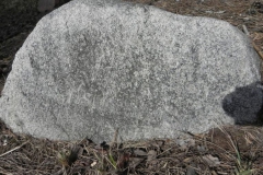 2011-03-23 Cielądz - cm. z I wojny światowej (15)