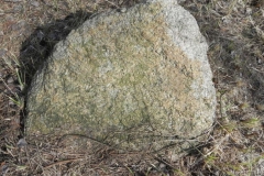 2011-03-23 Cielądz - cm. z I wojny światowej (19)