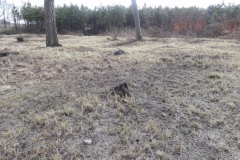 2011-03-23 Cielądz - cm. z I wojny światowej (20)