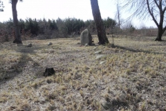 2011-03-23 Cielądz - cm. z I wojny światowej (24)