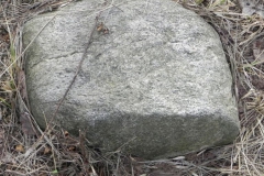 2011-03-23 Cielądz - cm. z I wojny światowej (26)