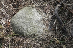 2011-03-23 Cielądz - cm. z I wojny światowej (28)