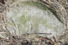 2011-03-23 Cielądz - cm. z I wojny światowej (31)