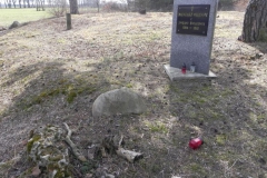 2011-03-23 Cielądz - cm. z I wojny światowej (4)