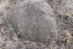 2011-03-23 Cielądz - cm. z I wojny światowej (48)