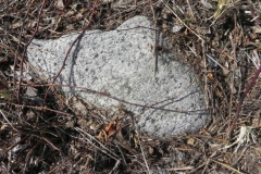 2011-03-23 Cielądz - cm. z I wojny światowej (61)