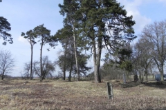 2011-03-23 Cielądz - cm. z I wojny światowej (62)