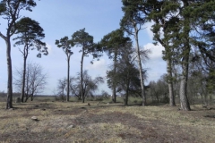 2011-03-23 Cielądz - cm. z I wojny światowej (63)