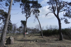 2011-03-23 Cielądz - cm. z I wojny światowej (75)