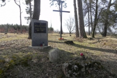 2011-03-23 Cielądz - cm. z I wojny światowej (76)