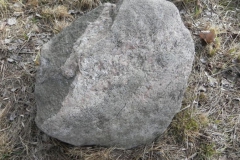 2011-03-23 Cielądz - cm. z I wojny światowej (9)