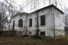 2019-02-15 Bujały - pałac (21)