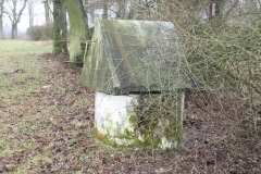 2019-02-15 Bujały - pałac (29)