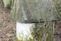 2019-02-15 Bujały - pałac (30)