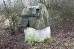 2019-02-15 Bujały - pałac (31)