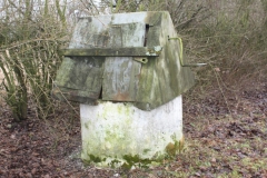 2019-02-15 Bujały - pałac (32)