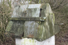 2019-02-15 Bujały - pałac (33)