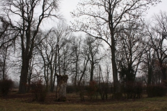 2019-02-15 Bujały - pałac (34)