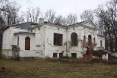 2019-02-15 Bujały - pałac (35)