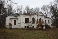 2019-02-15 Bujały - pałac (36)