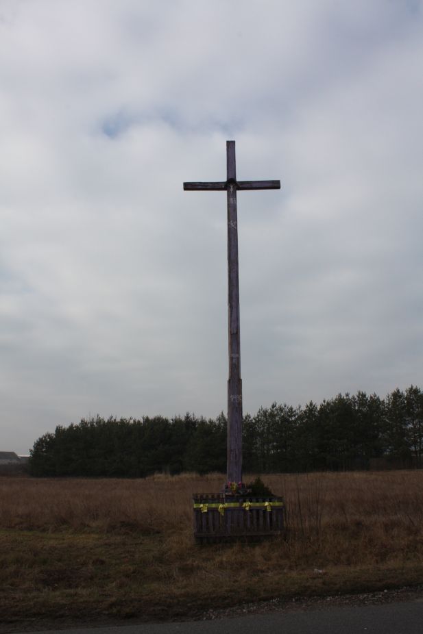 2019-02-15 Rosocha krzyż nr1 (1)