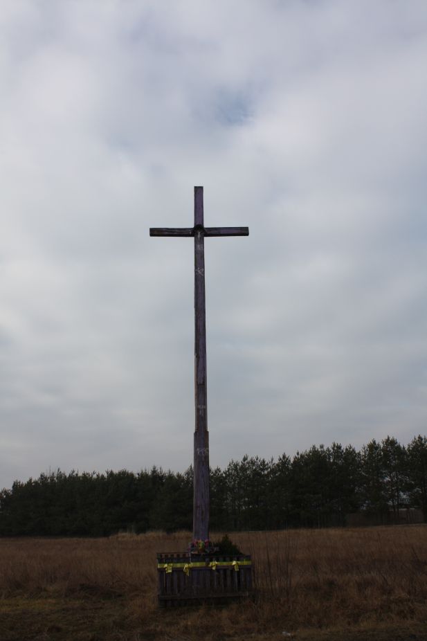 2019-02-15 Rosocha krzyż nr1 (10)