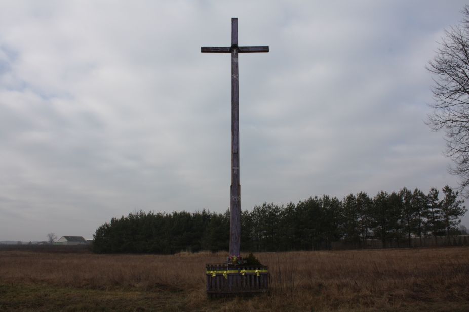 2019-02-15 Rosocha krzyż nr1 (11)