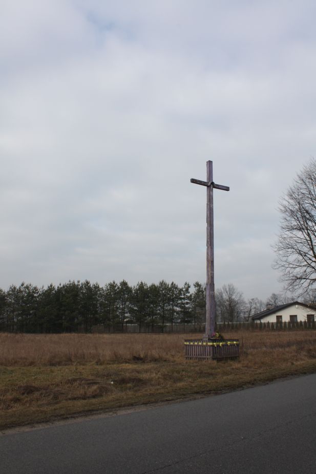 2019-02-15 Rosocha krzyż nr1 (12)