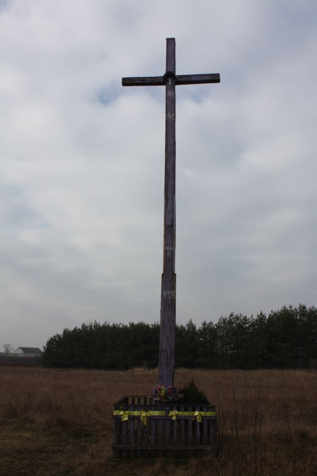2019-02-15 Rosocha krzyż nr1 (2)