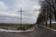 2019-01-15 Rzeczyca krzyż nr3 (11)