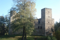 2007-10-21 Drzewica - ruiny zamku (10)