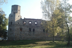 2007-10-21 Drzewica - ruiny zamku (16)