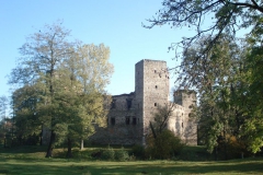 2007-10-21 Drzewica - ruiny zamku (4)